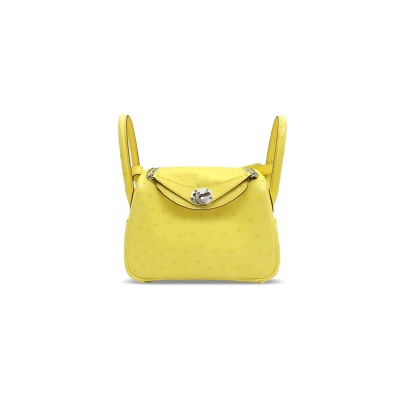 HERMES MASTER LINDY MINI 19 BAG OSTRICH PALLADIUM HARDWARE (19*12*9.5cm)